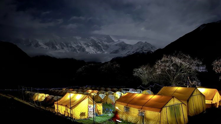 1706854397706883.jpg 林芝桃花10_dh.jpg