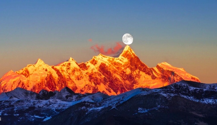 1706855116252080.jpg 林芝桃花25_dh.jpg