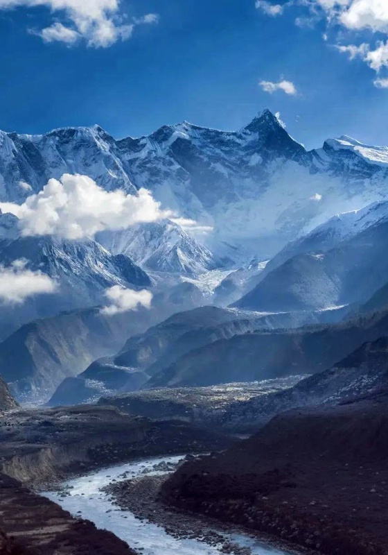 1706855135269335.jpg 林芝桃花26_dh.jpg