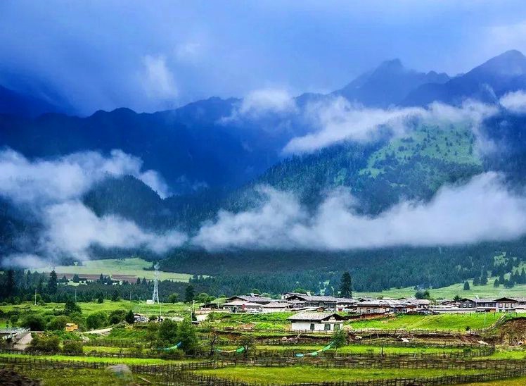 1706855163396150.jpg 林芝桃花27_dh.jpg