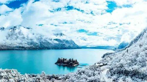 1706855202368265.jpg 林芝桃花29_dh.jpg