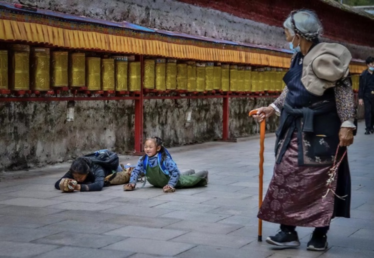 1706855272116000.jpg 林芝桃花33_dh.jpg