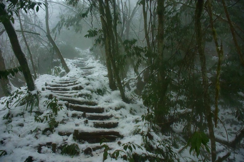 1766973805807061.jpg 花絮9_dh_dh.jpg