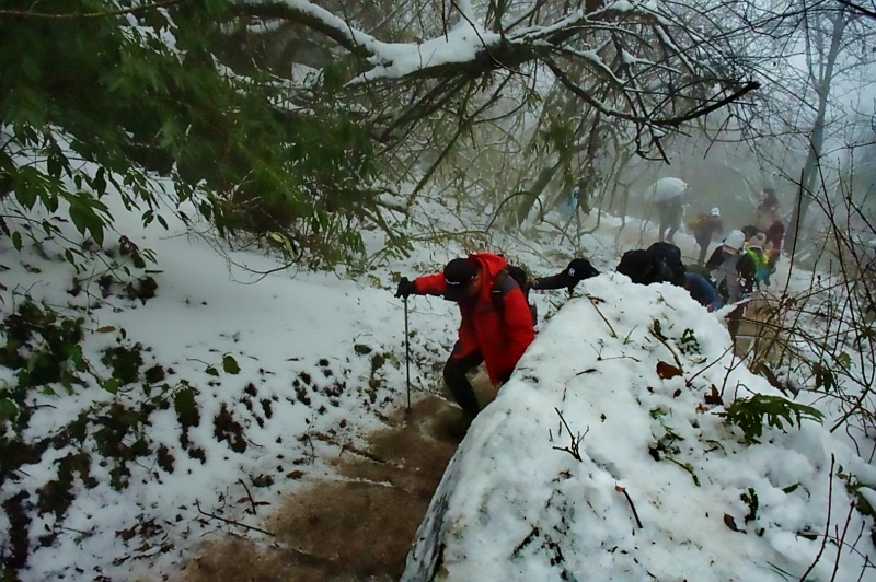 1767002719698879.jpg 花絮39_dh.jpg