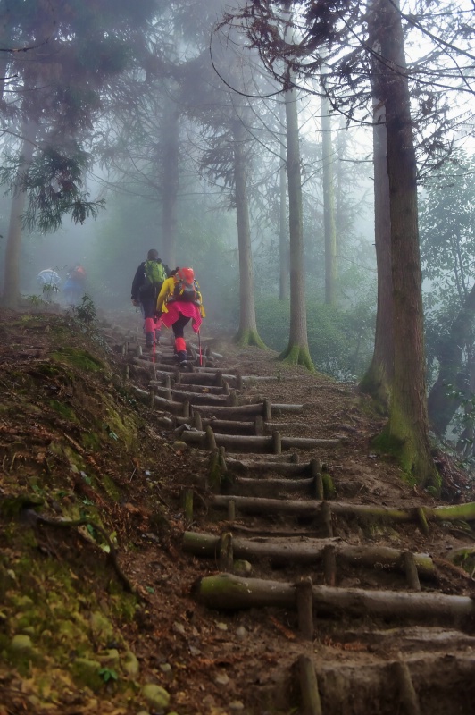 1767085502557648.jpg 花絮36_dh.jpg