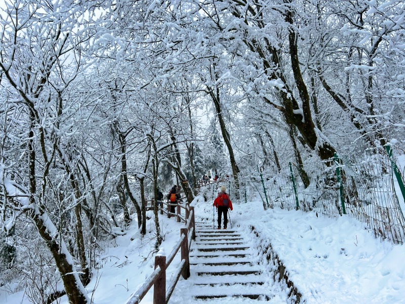 1769396294249584.jpg 九峰山53_dh.jpg