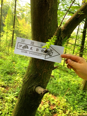 1769396394563113.jpg B线路标3_dh_副本.jpg