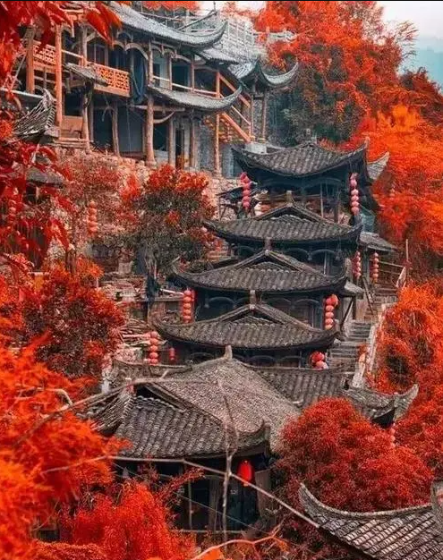 1770795554354624.png 芙蓉古镇15.png