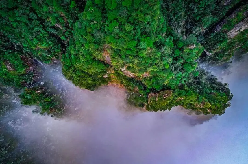 1770796197136909.png 莽山五指峰1.png