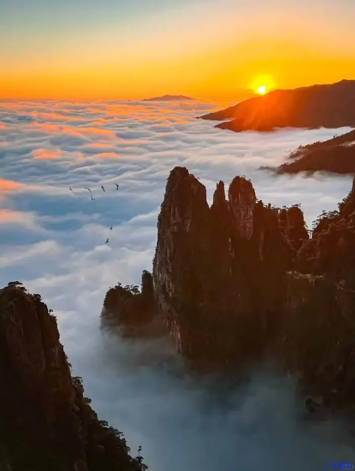 1770796271726849.png 莽山五指峰5.png