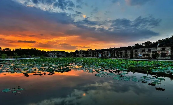 1770796438112377.png 蓼江油菜花3.png