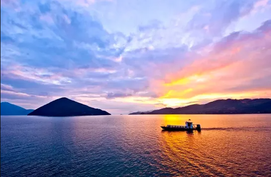 1770797635184950.png 蓼江油菜花5.png