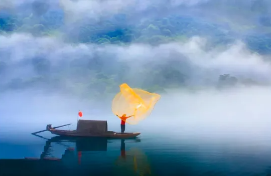 1770797696119821.png 蓼江油菜花9.png