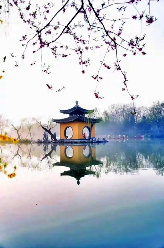 1770822585685065.jpg 江南18_dh.jpg