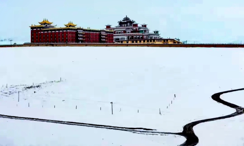 1772789776111469.jpg 甘孜杏花9_dh.jpg