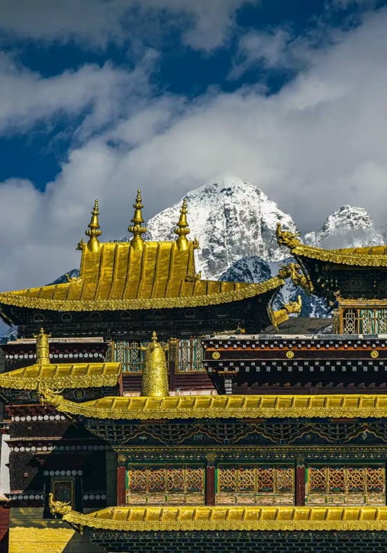 1772789819894845.jpg 甘孜杏花10_dh.jpg