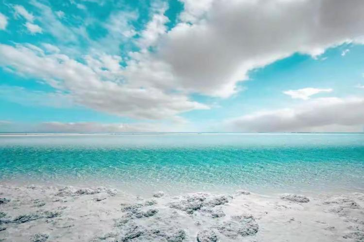 1774532555114640.jpg 东台结3.jpg