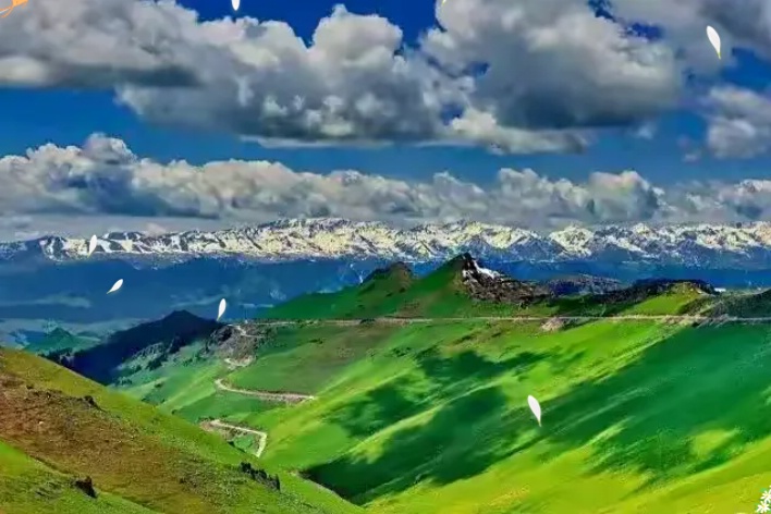 ����ͼƬ12_dh.jpg