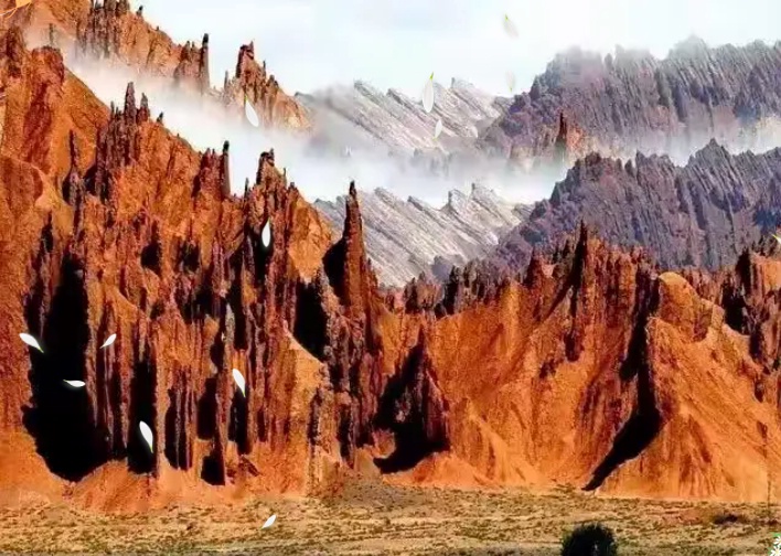 ����ͼƬ15_dh.jpg