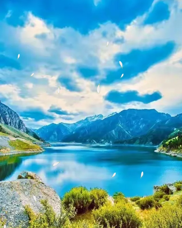 ����ͼƬ17_dh.jpg