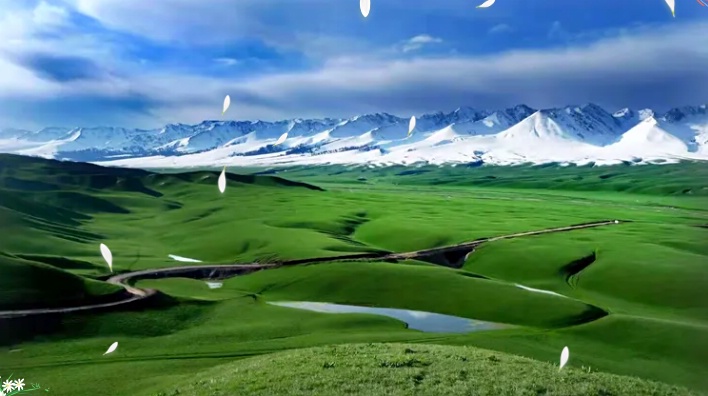 ����ͼƬ13_dh.jpg