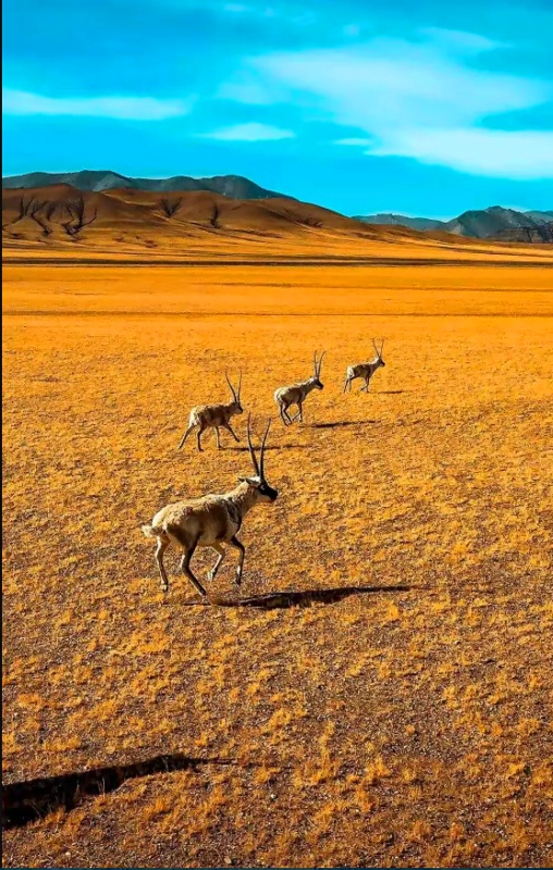 ����Դ12_dh.jpg