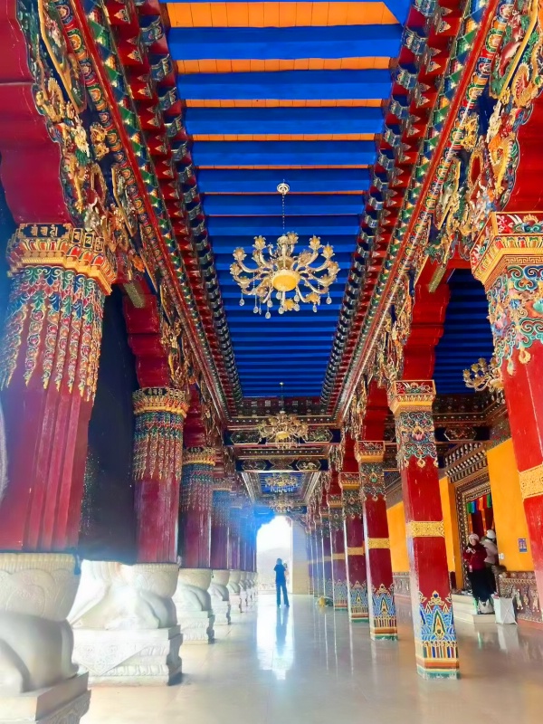 �����ӻ�156_dh.jpg