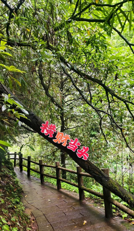 1783905167127404.jpg 大飞水卢师2_dh.jpg