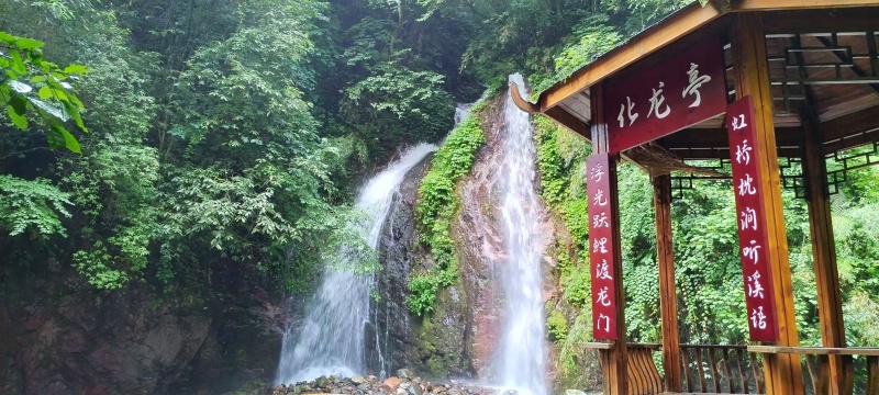 1783905404237105.jpg 大飞12_dh_dh.jpg