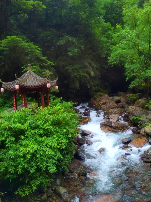 1783992783131431.jpg 大飞水127_dh.jpg