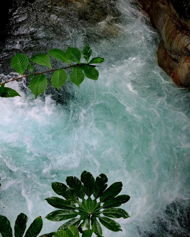 1783992906125652.jpg 大飞61_dh.jpg