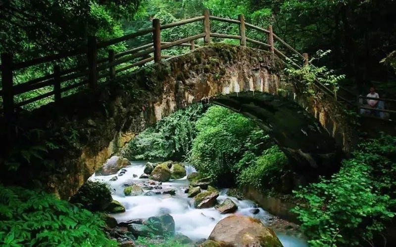1783993134964342.jpg 西岭雪山43_dh_dh.jpg