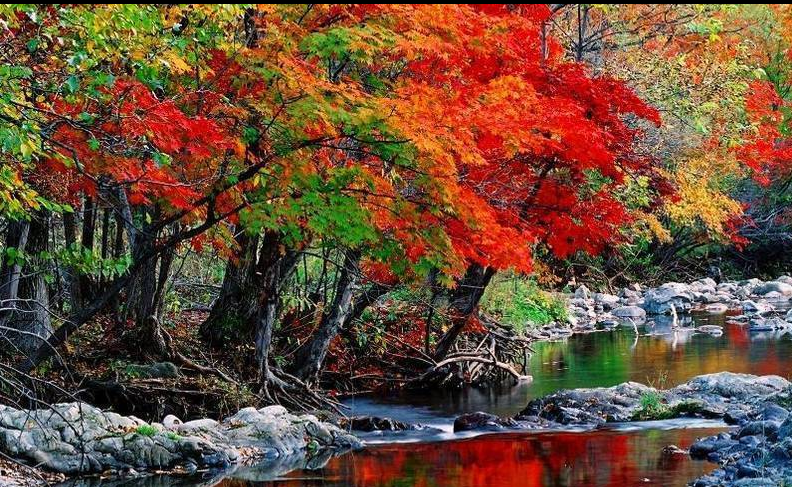 ������ͳ-��������23.jpg