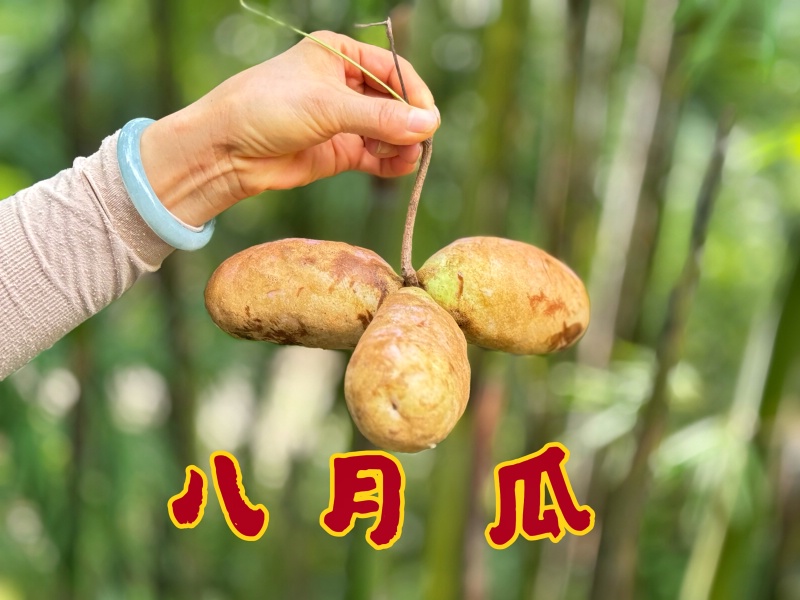 ���ɽ20-_dh.jpg