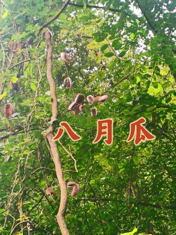 �޼Ҹ�6_dh.jpg