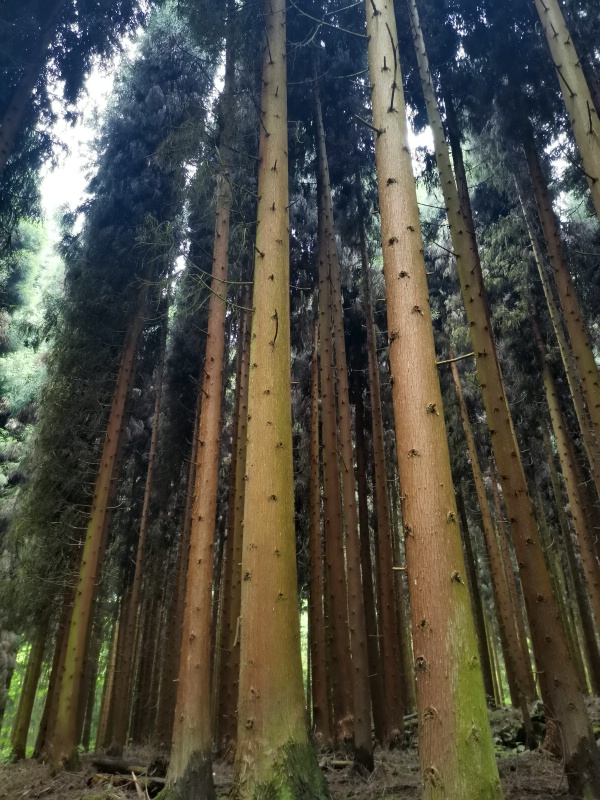 1789306150249154.jpg 丁丁猫12_dh_dh.jpg