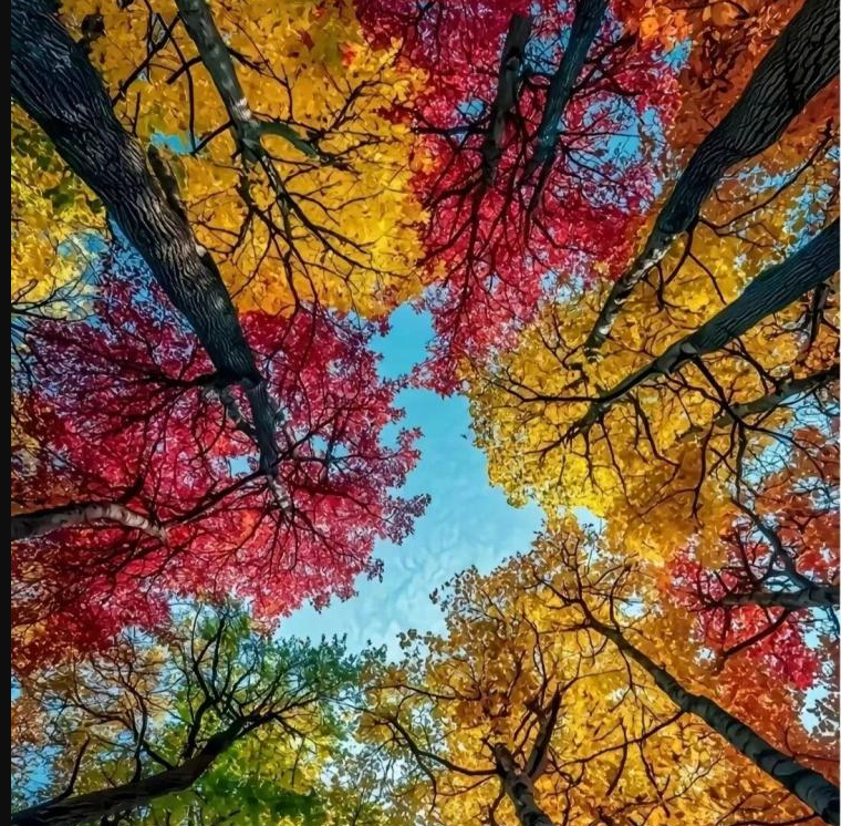 ���ɽ43.jpg