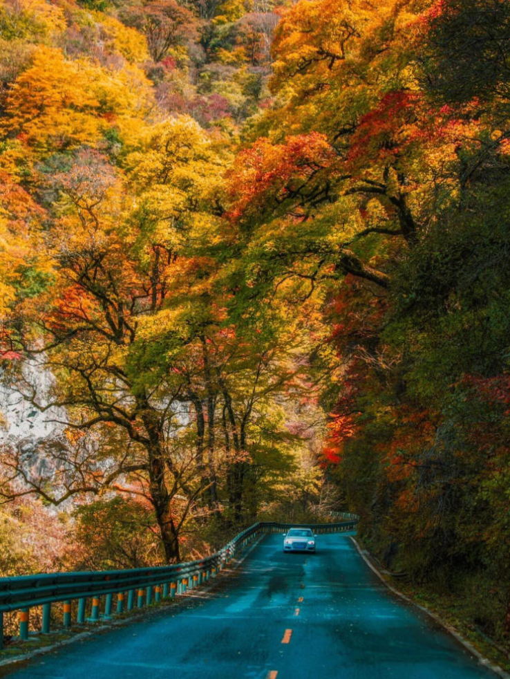 ���ɽ6.jpg