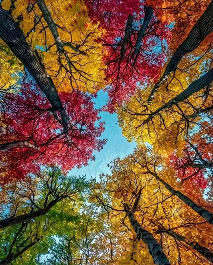���ɽ38.jpg