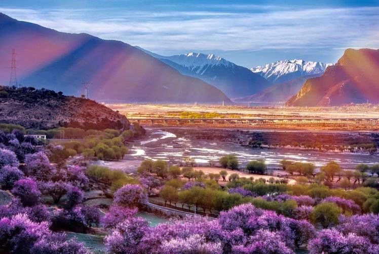 �����ܡ���֥-�һ���2026��3��27��-4��4�ա���֥9����