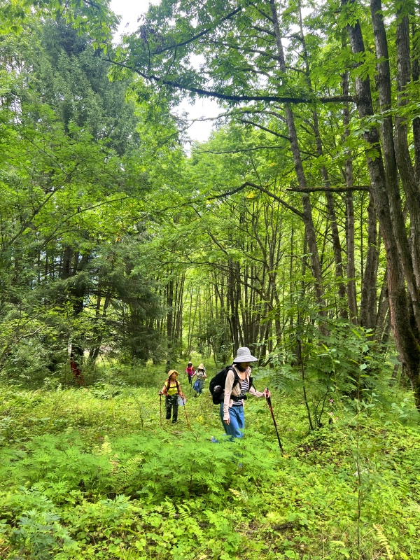 �Ϲ�-��ͷկ1