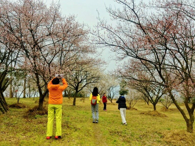 �ڻ���-��ϼ��1